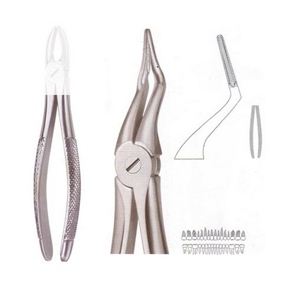 Extracting Forceps